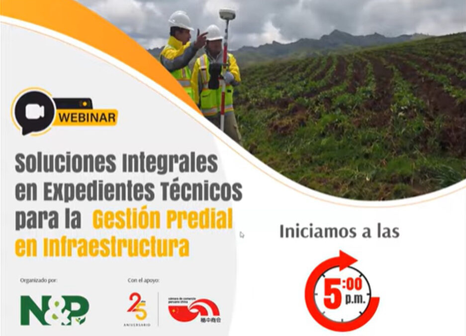 N&P and CAPECHI hosted a webinar on comprehensive solutions for technical dossiers
