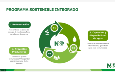 Reforestación en Cabeceras de Cuenca: Infraestructura Natural para la Viabilidad de Proyectos